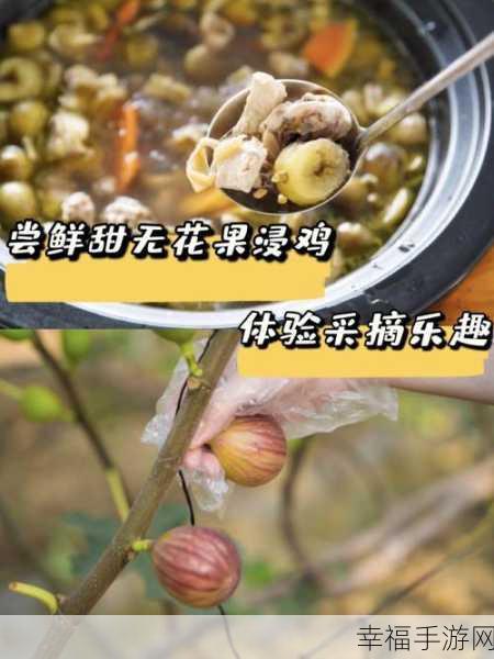 果园大冒险,消除乐趣尽在指尖——全新手机版下载体验