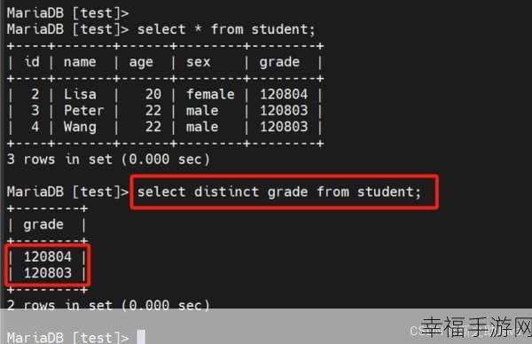 深入探索，MySQL Distinct 的神奇用法全解析