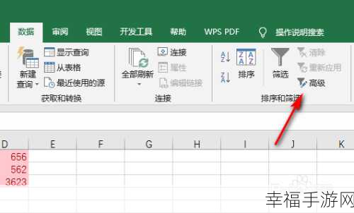 WPS 表格高效查找多个内容的秘籍大公开