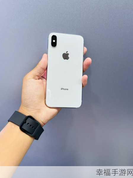 iPhoneX 面容 ID 失效之谜，全面解析与解决方案