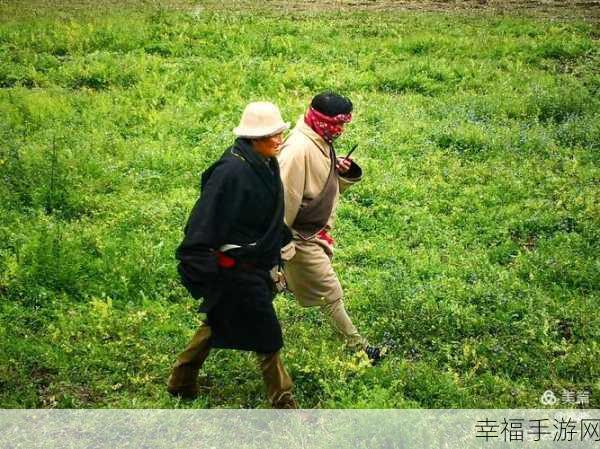 绳索飞行镇，挑战极限，飞越难关的经典穿越之旅