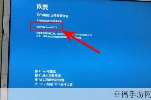 Win10 蓝屏修复难题，自动修复与恢复均无效，如何破？