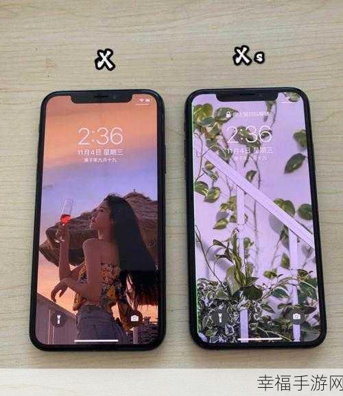 深入剖析，iPhone XS 与 XR 的显著差异