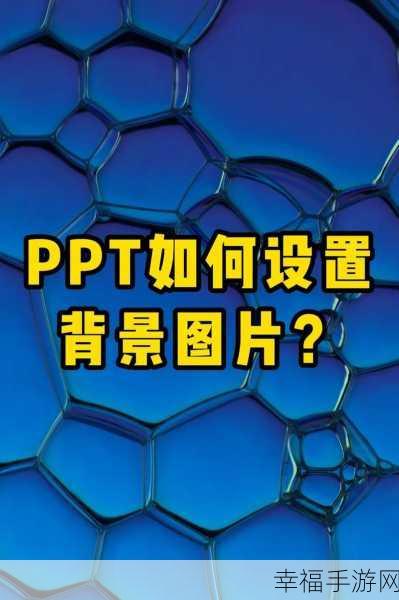 PPT 背景图片更换秘籍，轻松打造独特演示效果