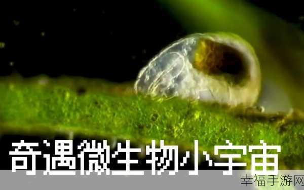 真菌世界免费版震撼上线！探索奇妙微生物世界的休闲之旅