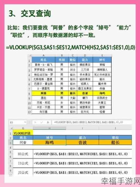 WPS 表格必备技巧，VLOOKUP 与 HLOOKUP 函数的深度解析