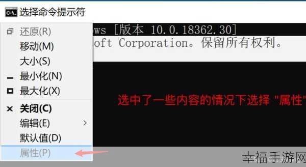 Win10 系统，CMD 命令强制删除文件秘籍大公开