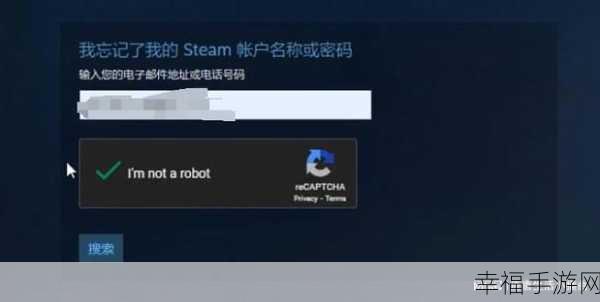 解决 Steam 人机验证 Captcha 响应无效难题，畅玩游戏不再受阻！