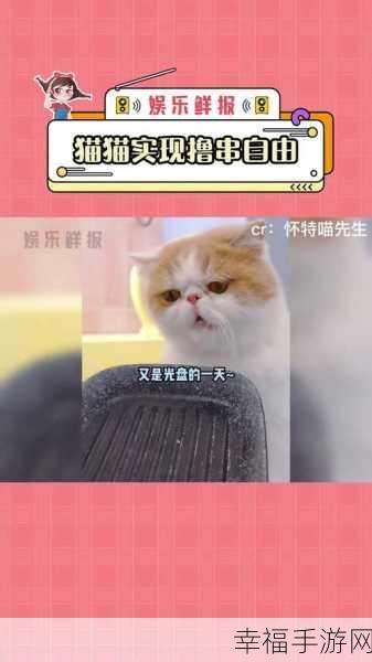 萌宠集结！代号猫猫手机版下载开启，搜集养成新体验