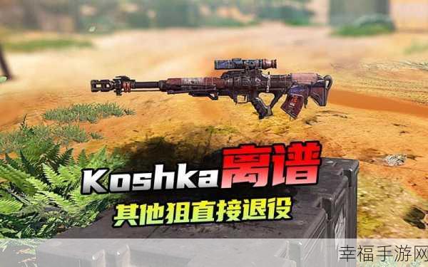 2024 使命召唤手游，Koshka 顶配攻略，制霸战场秘籍