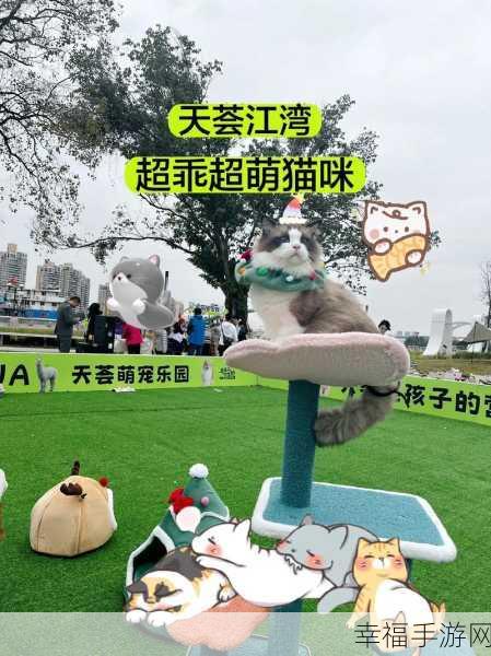 萌猫成长记，合成休闲新体验，打造专属萌宠乐园