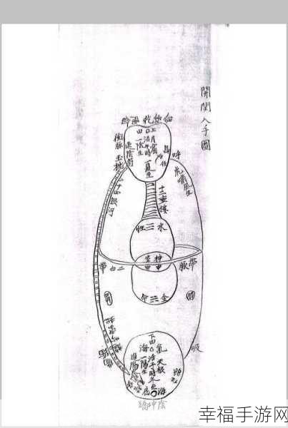 最强祖师，九转金丹获取秘籍大公开