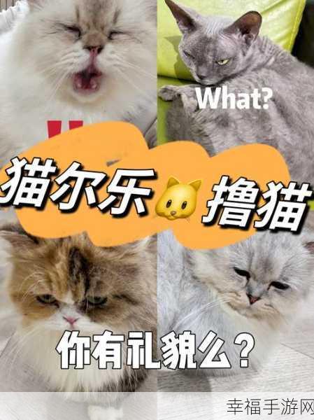 萌宠养成新体验，猫猫天堂游戏深度评测与下载指南