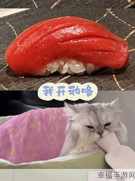 猫星人寿司叠叠乐，魔性猫咪挑战你的堆叠极限！