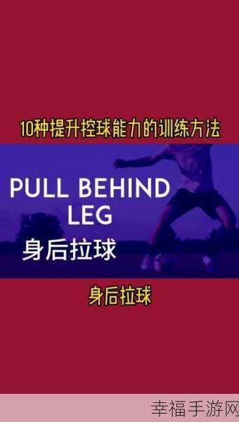 拉球球PullBalls，全新益智闯关挑战，智趣并存等你来战！