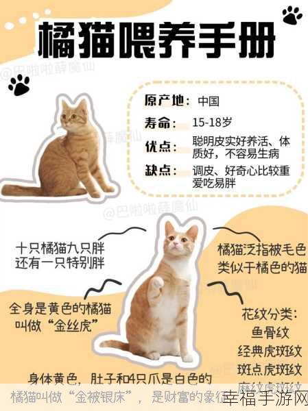 萌宠养成新体验，我要养猫手游深度解析与下载指南