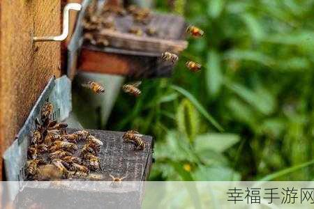 蜂巢保卫战手游震撼上线，蜜蜂主题的塔防新体验，免费下载！