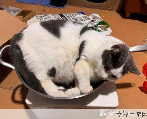 会飞的猫大冒险，Q萌小喵跳跃挑战，休闲动作新体验！