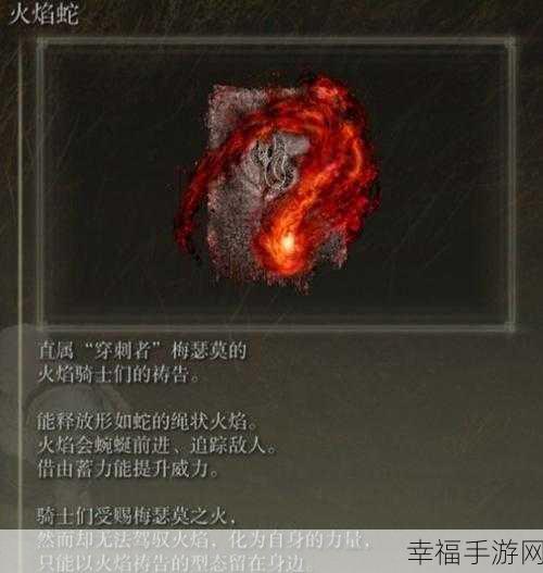 艾尔登法环黄金树之影 DLC 珍稀物品全搜罗