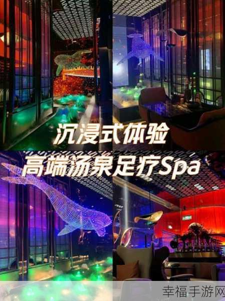 猫咪SPA中文版上线，沉浸式治愈体验，打造专属萌宠放松乐园