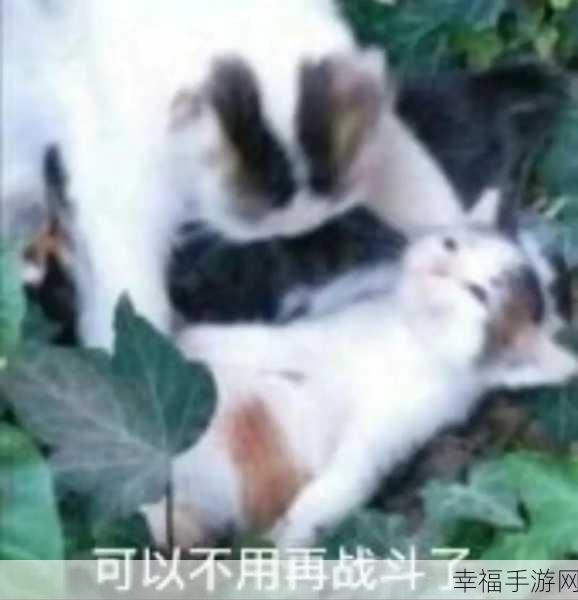 Neko Crush官方版上线，萌宠猫咪消除赛，挑战你的清新极限！