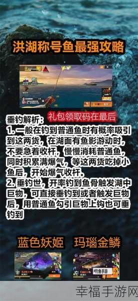 欢乐钓鱼大师官网探秘，入口地址及精彩赛事全解析