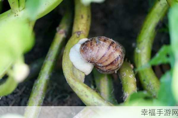 探秘最强蜗牛富春山居图的惊人额外效果