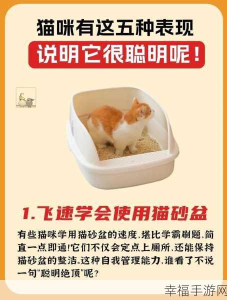 萌宠大冒险，猫咪巡回养成手游全解析