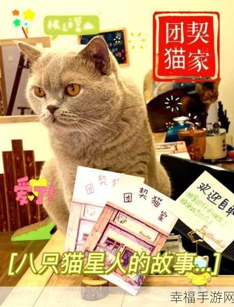 猫咪煎饼店，萌宠经营与冒险之旅，打造你的梦幻小店！