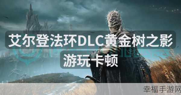 艾尔登法环黄金树之影 DLC，穆尔存活的终极秘籍