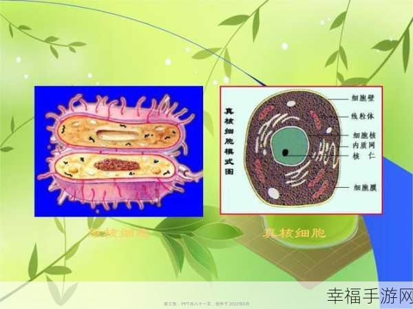 微生物世界生存战，微生物细胞模拟器中文版震撼来袭！