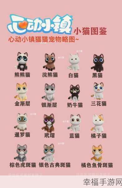 心动小镇，猫咪领养与训练的终极秘籍