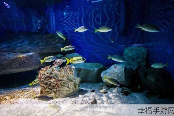 深海水族馆手机版上线，治愈系休闲养成，打造梦幻海底世界！