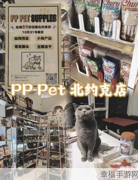 Pop Pet，萌宠消除大挑战，益智休闲新选择