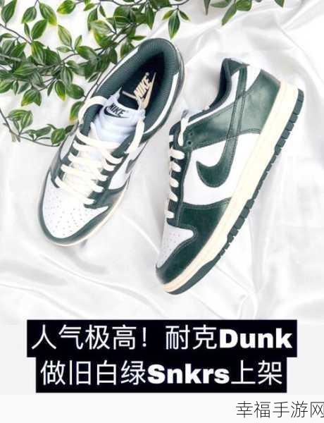 简约创意新体验，Dunk Line中文汉化版下载及游戏详解