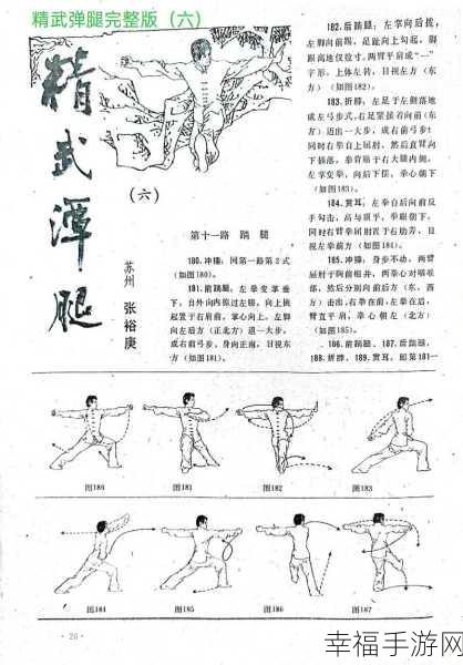 武功来了，王榕榕技能大揭秘与实战运用攻略