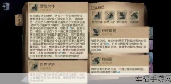 武功来了，王榕榕技能大揭秘与实战运用攻略