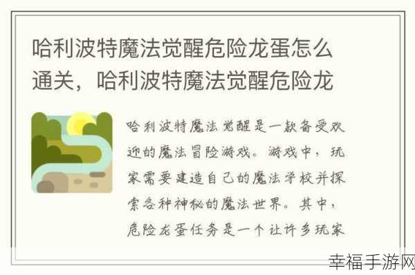 哈利波特魔法觉醒学年记录 19 通关秘籍，详尽攻略与关键技巧