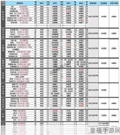 使命召唤手游攻略，解锁双主武器配置，战场制霸新技巧！