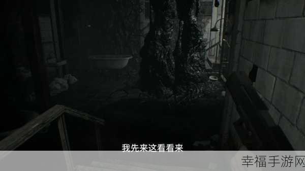 探秘生化危机7，解锁隐藏谜题，寻找三个神秘狗头全攻略