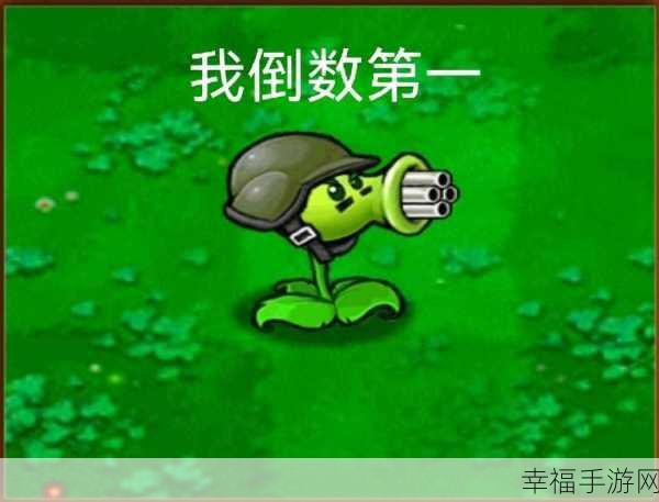 揭秘植物大战僵尸1，机枪射手的阳光需求与战斗策略