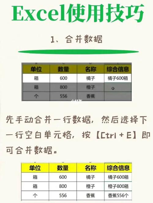 我的世界菌丝获取全攻略，高效采集与实用技巧揭秘