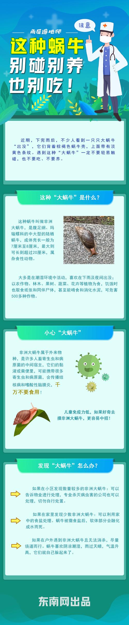 揭秘最强蜗牛华夏特性，获取攻略与独特魅力解析