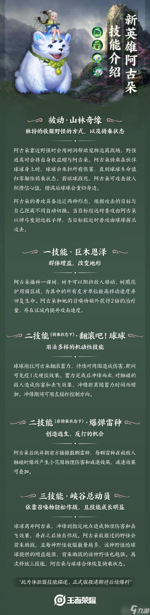 王者荣耀深度解析，阿古朵与球球装备继承机制全揭秘