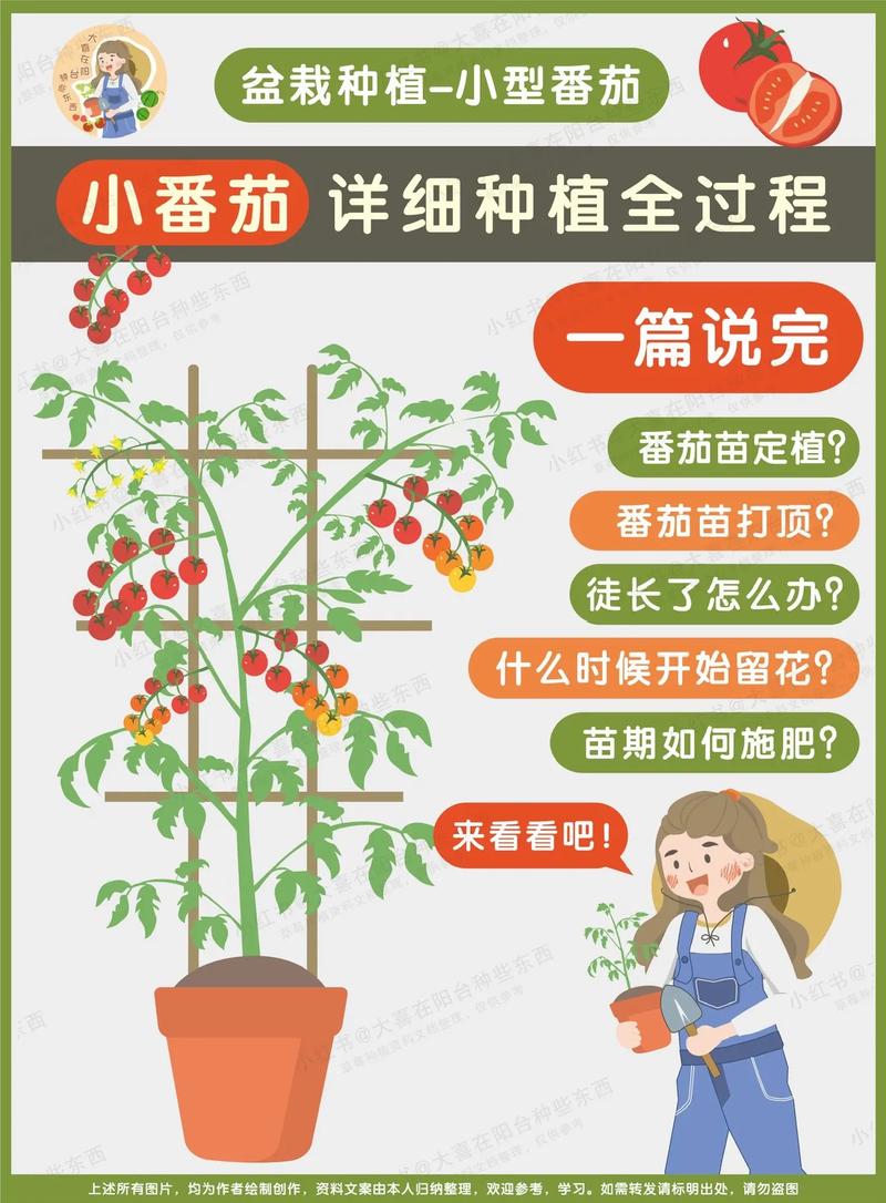 手工星球探秘，树番茄采集指南与绝佳位置揭秘