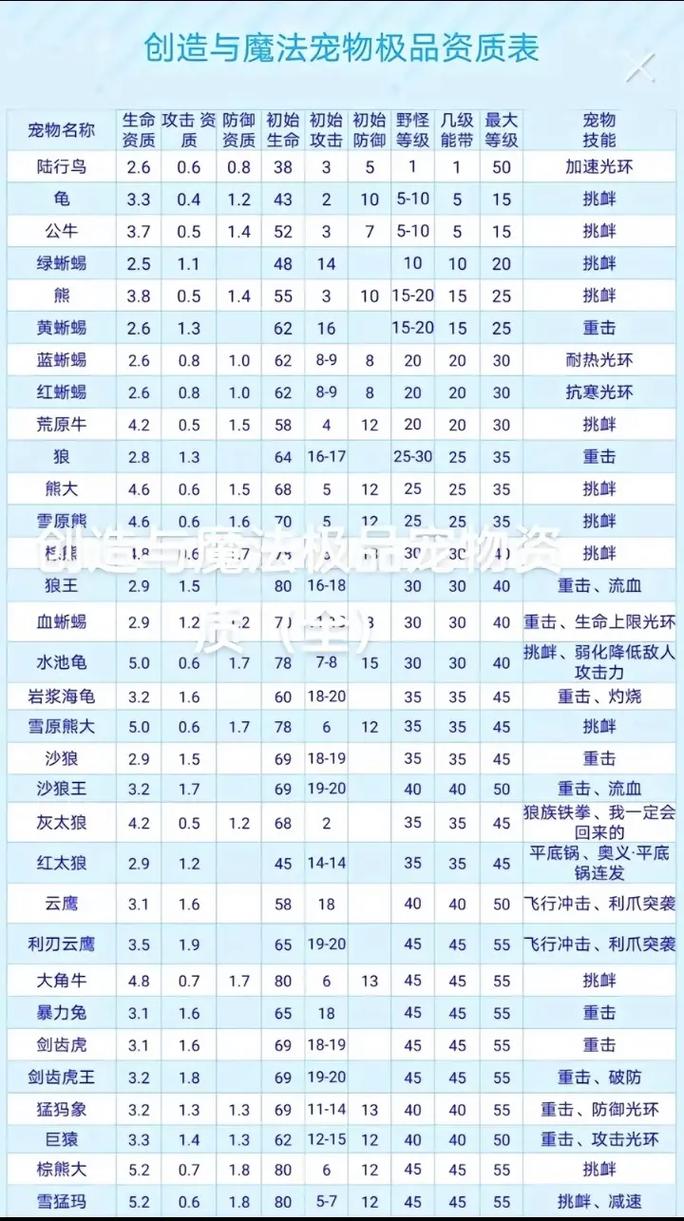 创造与魔法深度解析，姜的多重奇妙作用与实战应用