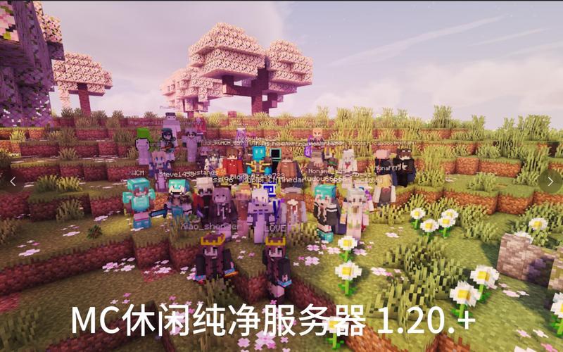 打造专属游戏天地，我的世界Minecraft服务器搭建大赛全攻略