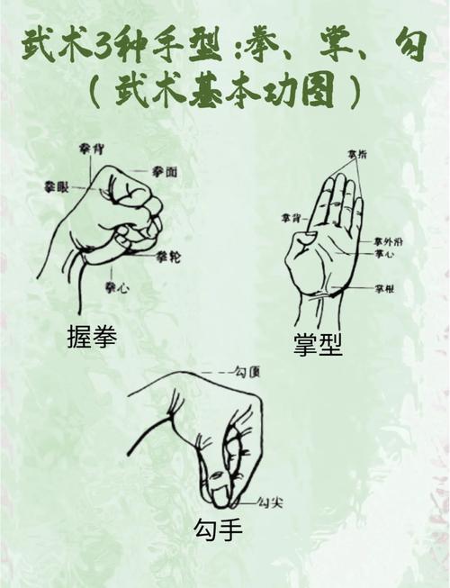 烟雨江湖邀月掌法深度解析，武林绝学还是花拳绣腿？