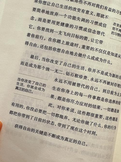 光之子全自白书深度揭秘，解锁角色内心世界的钥匙