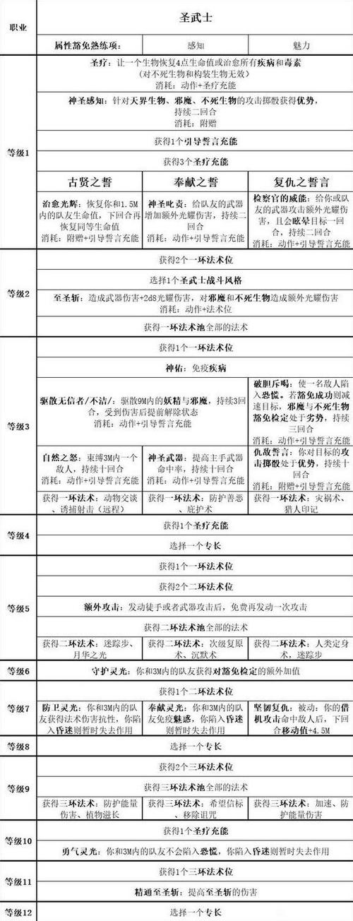 博德之门3深度解析，圣武士新手构筑与战斗策略全攻略